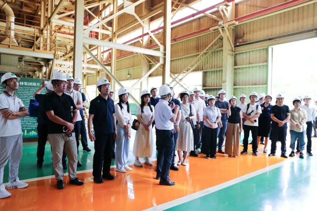 智赋制造・数启新程｜东盟及国内AI行业代表团走进丰林集团实地参观考察